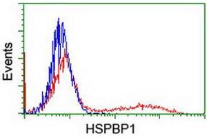 HEK293T cells transfected with either RC201814 overexpress plasmid (Red) or empty vector control plasmid (Blue) were immunostained by anti-HSPBP1 antibody (ABIN2455030), and then analyzed by flow cytometry. (HSPBP1 antibody)