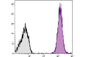 SJL mouse splenocytes were stained with Mouse Anti-Mouse CD45. (CD45.1 antibody  (PE-Cy7))