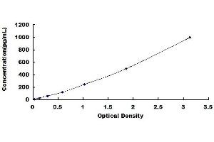 Typical standard curve