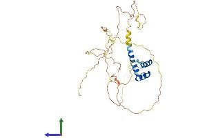 AlphaFold protein structure predicition of Human Recombinant DBX2 Protein, UniprotID Q6ZNG2 (DBX2 Protein (AA 1-339) (His tag))