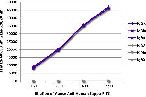 FLISA plate was coated with purified human IgGκ, IgMκ, IgAκ, IgGλ, IgMλ, and IgAλ. (Mouse anti-Human Immunoglobulin kappa Chain Complex (Igk) Antibody (FITC))