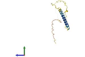 Protein Structure (PS) image for Nerve Growth Factor Receptor (TNFRSF16) Associated Protein 1 (NGFRAP1) (AA 1-124) protein (His tag) (ABIN7556258)