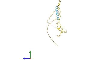 Protein Structure (PS) image for Transcription Elongation Factor A (SII)-Like 3 (TCEAL3) (AA 1-200) protein (His tag) (ABIN7559625)