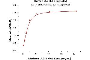 Immobilized Human LAG-3, Fc Tag (ABIN5526624,ABIN5526625) at 2 μg/mL (100 μL/well) can bind Madarex LAG-3 MAb with a linear range of 0. (LAG3 Protein (AA 23-450) (Fc Tag))
