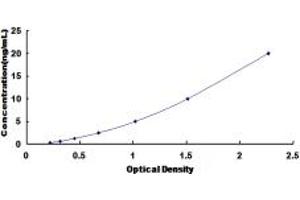 Typical standard curve (RNF39 ELISA Kit)