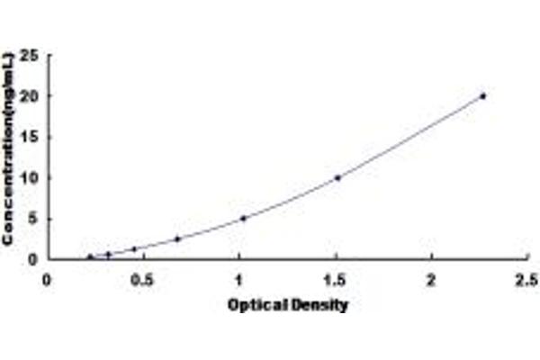 RNF39 ELISA Kit