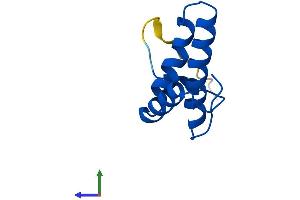 AlphaFold protein structure predicition of Mouse Recombinant Cox6b2 Protein, UniprotID Q80ZN9 (COX6B2 Protein (AA 1-88) (His tag))
