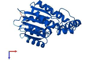 AlphaFold protein structure predicition of Human Recombinant SPR Protein, UniprotID P35270 (SPR Protein (AA 1-261) (His tag))