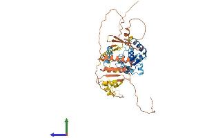 Protein Structure (PS) image for Nuclear Respiratory Factor 1 (NRF1) (AA 1-503) protein (His tag) (ABIN7556259)