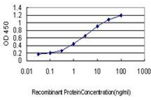 Detection limit for recombinant GST tagged DLL1 is approximately 0. (DLL1 antibody  (AA 18-109))