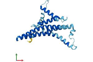 Protein Structure (PS) image for Mitochondrially Encoded ATP Synthase 6 (MT-ATP6) (AA 1-226) protein (His tag) (ABIN7562721)