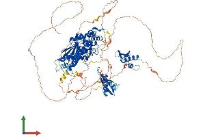 AlphaFold protein structure predicition of Mouse Recombinant Ilf3 Protein, UniprotID Q9Z1X4 (Interleukin enhancer-binding factor 3 (ILF3) (AA 1-898) protein (His tag))