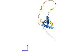 Protein Structure (PS) image for Twist Homolog 2 (TWIST2) (AA 1-160) protein (His tag) (ABIN7560812)