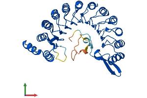 AlphaFold protein structure predicition of Mouse Recombinant Lrrc34 Protein, UniprotID Q9DAM1
