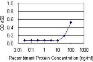 Detection limit for recombinant GST tagged RPS15 is 10 ng/ml as a capture antibody. (RPS15 antibody  (AA 1-145))