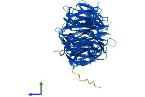AlphaFold protein structure predicition of Human Recombinant CFAP52 Protein, UniprotID Q8N1V2