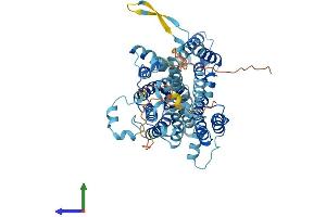 AlphaFold protein structure predicition of Mouse Recombinant Slc23a1 Protein, UniprotID Q9Z2J0 (SLC23A1 Protein (AA 1-605) (His tag))