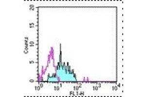 Image no. 1 for anti-Alanyl (Membrane) Aminopeptidase (ANPEP) antibody (FITC) (ABIN474255) (CD13 antibody  (FITC))