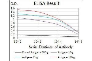 Black line: Control Antigen (100 ng), Purple line: Antigen(10 ng), Blue line: Antigen (50 ng), Red line: Antigen (100 ng), (NAPSA antibody  (AA 20-158))