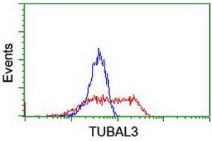 HEK293T cells transfected with either RC216194 overexpress plasmid (Red) or empty vector control plasmid (Blue) were immunostained by anti-TUBAL3 antibody (ABIN2455298), and then analyzed by flow cytometry. (TUBAL3 antibody  (AA 150-446))