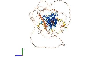 AlphaFold protein structure predicition of Human Recombinant EPAS1 Protein, UniprotID Q99814