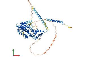 Protein Structure (PS) image for Guanine Nucleotide Binding Protein-Like 3 (Nucleolar) (GNL3) (AA 1-538) protein (His tag) (ABIN7559357)