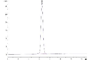 Size-exclusion chromatography-High Pressure Liquid Chromatography (SEC-HPLC) image for CD24 Molecule (CD24) (AA 27-59) protein (mFc Tag,Biotin) (ABIN7274116)