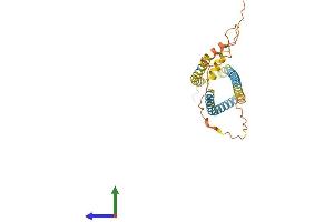 AlphaFold protein structure predicition of Human Recombinant SPATA9 Protein, UniprotID Q9BWV2