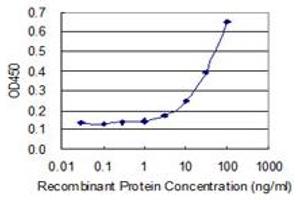 Detection limit for recombinant GST tagged MRPS21 is 1 ng/ml as a capture antibody. (MRPS21 antibody  (AA 1-87))