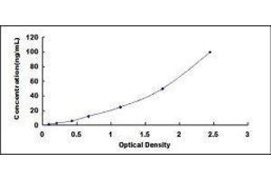 ELISA image for Creatine Kinase MB (CKM) ELISA Kit (ABIN416418)