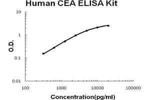 Human CEA Accusignal ELISA Kit Human CEA AccuSignal ELISA Kit standard curve. (CEA ELISA Kit)