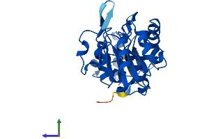 AlphaFold protein structure predicition of Human Recombinant HDHD2 Protein, UniprotID Q9H0R4