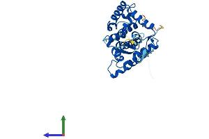 AlphaFold protein structure predicition of Mouse Recombinant Golph3l Protein, UniprotID Q8R088