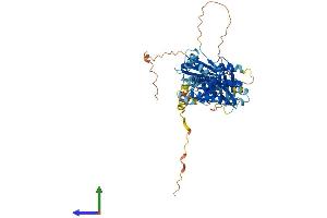 AlphaFold protein structure predicition of Human Recombinant HSP90AB3P Protein, UniprotID Q58FF7 (HSP90AB3P Protein (AA 1-597) (His tag))