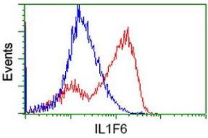 HEK293T cells transfected with either RC219328 overexpress plasmid (Red) or empty vector control plasmid (Blue) were immunostained by anti-IL1F6 antibody (ABIN2453183), and then analyzed by flow cytometry. (IL36A/IL1F6 antibody)