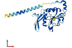 AlphaFold protein structure predicition of Mouse Recombinant Ctdnep1 Protein, UniprotID Q3TP92