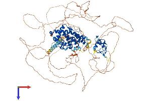 NR3C2 Protein (AA 1-984) (His tag)