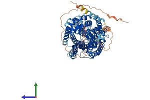 AlphaFold protein structure predicition of Mouse Recombinant Slc6a15 Protein, UniprotID Q8BG16