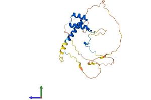 AlphaFold protein structure predicition of Mouse Recombinant Hoxa6 Protein, UniprotID P09092 (HOXA6 Protein (AA 1-232) (His tag))