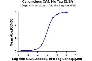 Immobilized Cynomolgus CA9, His Tag at 0. (CA9 Protein (AA 38-402) (His tag))