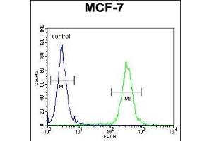 NKPD1 Antibody (C-term) (ABIN654870 and ABIN2844528) flow cytometric analysis of MCF-7 cells (right histogram) compared to a negative control cell (left histogram). (NKPD1 antibody  (C-Term))