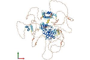 AlphaFold protein structure predicition of Human Recombinant RPS6KC1 Protein, UniprotID Q96S38