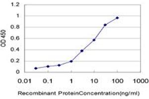 Detection limit for recombinant GST tagged KCNQ5 is approximately 0. (KCNQ5 antibody  (AA 833-932))