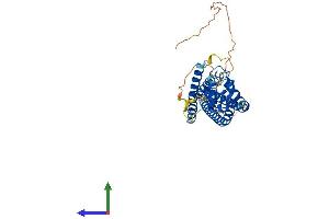 AlphaFold protein structure predicition of Human Recombinant TSPAN10 Protein, UniprotID Q9H1Z9 (TSPAN10 Protein (AA 1-355) (His tag))