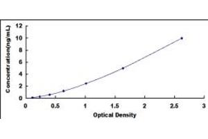Typical standard curve (Myopalladin ELISA Kit)