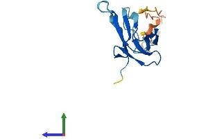 AlphaFold protein structure predicition of Human Recombinant VHLL Protein, UniprotID Q6RSH7 (VHLL Protein (AA 1-139) (His tag))
