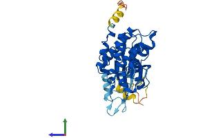 AlphaFold protein structure predicition of Mouse Recombinant Cdk6 Protein, UniprotID Q64261 (CDK6 Protein (AA 1-326) (His tag))