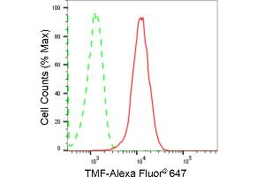Flow cytometric analysis of TMF expression in HepG2 cells using TMF antibody (ABIN7800518), 1:2,000). (Recombinant TMF1 antibody)