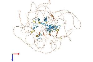 AlphaFold protein structure predicition of Human Recombinant ZNF644 Protein, UniprotID Q9H582 (ZNF644 Protein (AA 1-1327) (His tag))