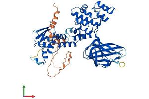 AlphaFold protein structure predicition of Human Recombinant BTBD3 Protein, UniprotID Q9Y2F9 (BTBD3 Protein (AA 1-522) (His tag))
